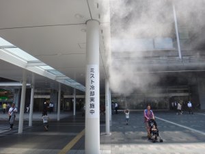 2474長崎・福岡2012.JPG